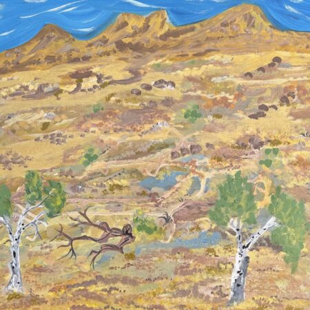 My Grandmothers Country-Elizabeth Ngwarra Bonney - Painting - Elizabeth Ngwarraye  Bonney