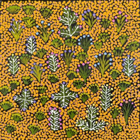 Bush Medicine Plants - Painting - Rosemary Ngwarraye Turner
