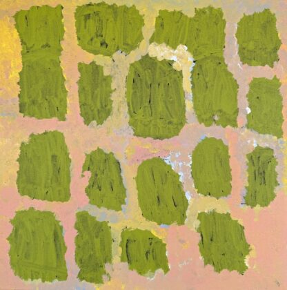 Bush Tucker - Maisie Petyarre Bundey;- - Painting - Maisie Petyarre Bundey