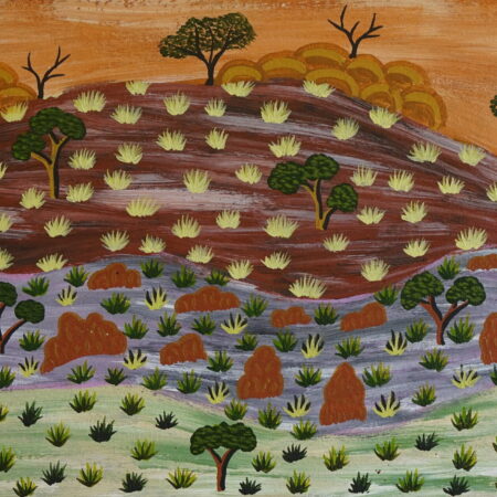My Country - Heather Pitjara Corbett - Painting - Heather Pitjara Corbett