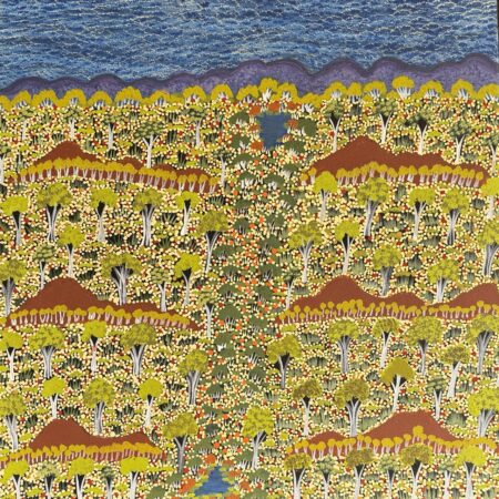 View Of Country - Painting - Daylene Kemarre Woodman