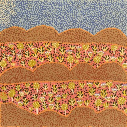 View Of Country - Painting - Desma Ngwarraye Turner