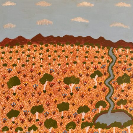 View Of Country - Painting - Susan  Ngwarrarye Philomac