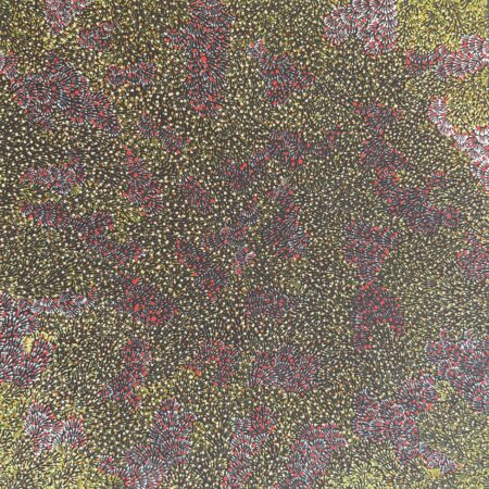 My Hunting Country - Yvonne Ngwarraye Bonney - Painting - Yvonne Ngwarraye  Bonney