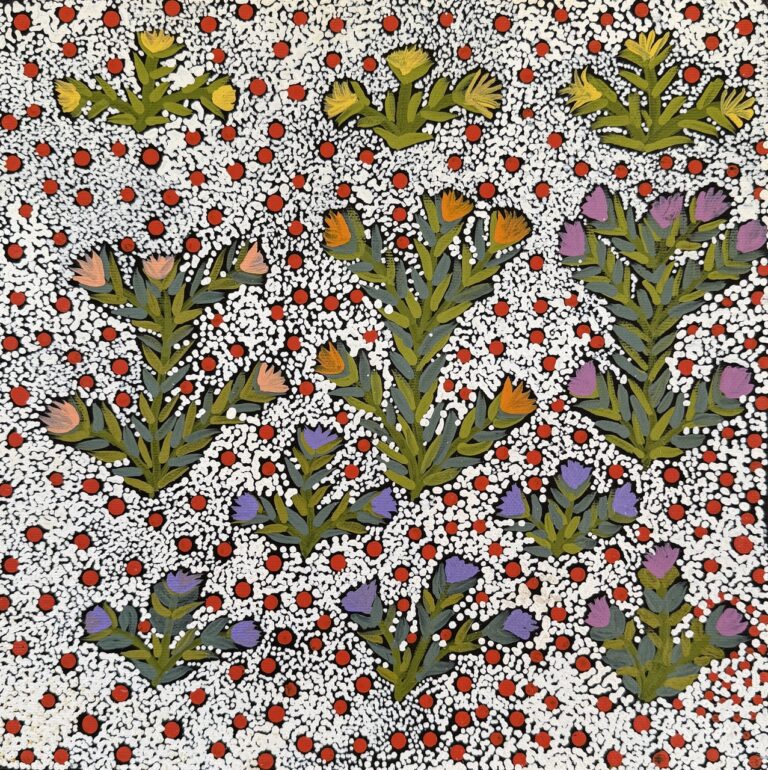 My Country - Jessie Ngwarraye Ross - Painting - Jessie Pula Luck