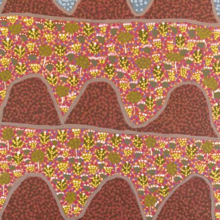 View Of Country - Painting - Desma Ngwarraye Turner
