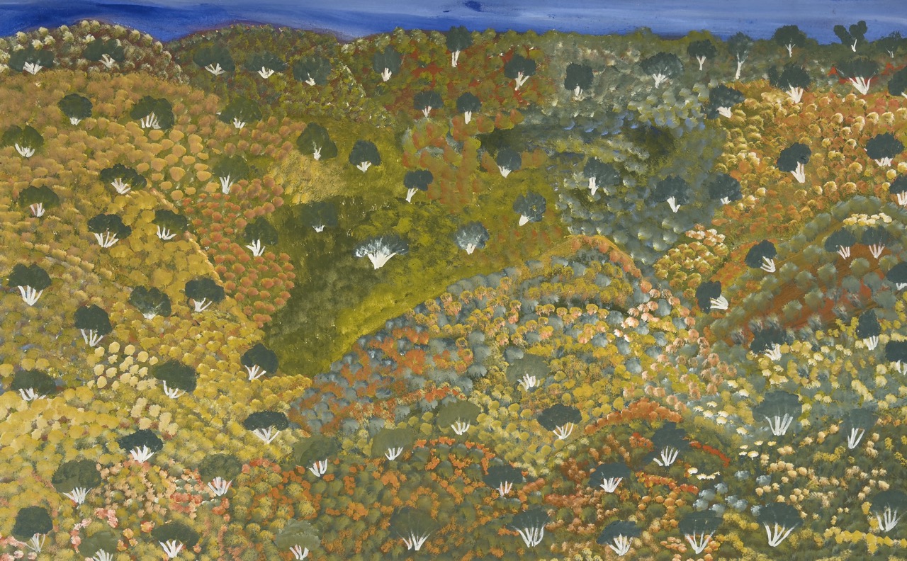 Ada Pula Beasley - My Country - Painting - Ada Pula Beasley