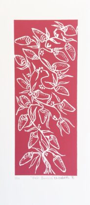 Elizabeth Ngwarraye Bonney - Bush Banana - Print - Elizabeth Ngwarraye  Bonney