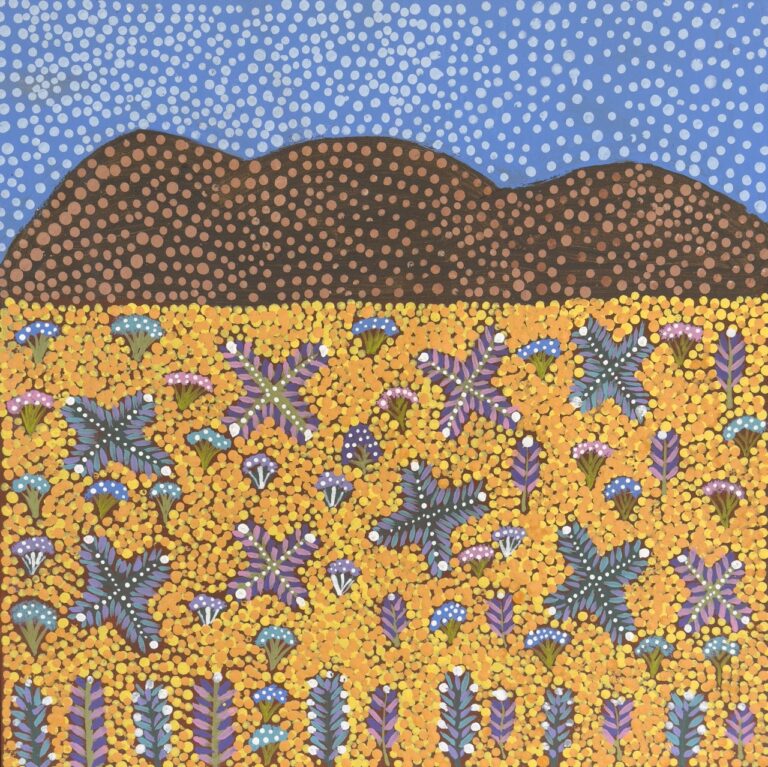 View Of Country - Painting - Rosemary Ngwarraye Turner