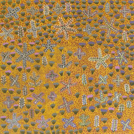 Rosemary Ngwarraye Turner - My Landscapes - Painting - Rosemary Ngwarraye Turner