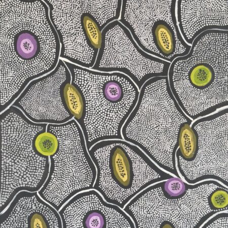 Ntang (Edible Seeds) - Painting - Bronwyn Kemarre Butcher