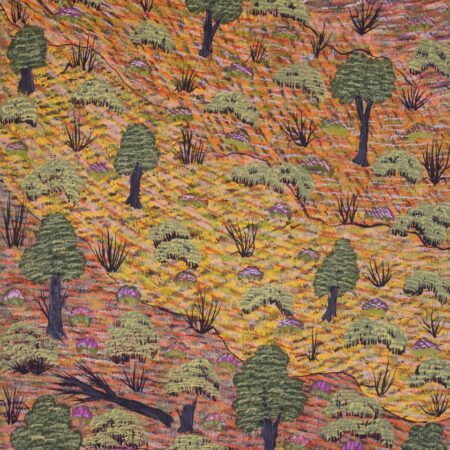 Yvonne Ngwarraye Bonney - My Hunting Country - Painting - Yvonne Ngwarraye  Bonney