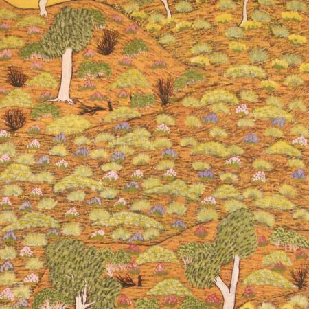 Yvonne Ngwarraye Bonney - My Hunting Country - Painting - Yvonne Ngwarraye  Bonney