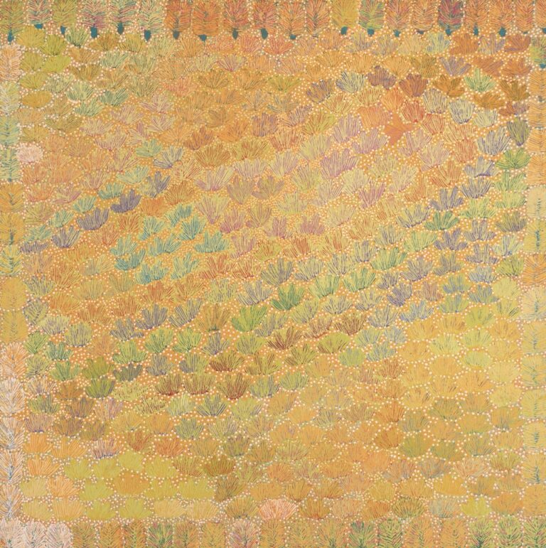 Betty Pula Morton - My Country and Bush Medicine - Painting - Betty Pula Morton