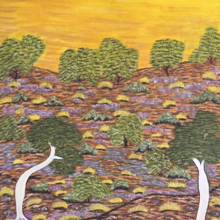 Yvonne Ngwarraye Bonney - My Hunting Country - Painting - Yvonne Ngwarraye  Bonney