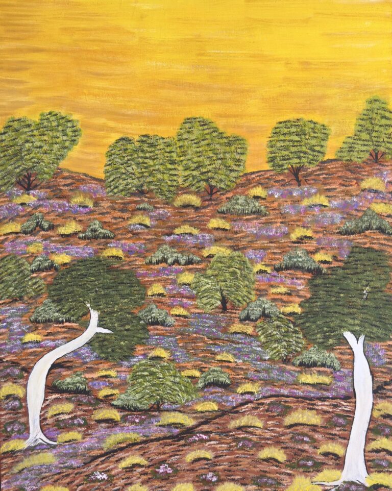 Yvonne Ngwarraye Bonney - My Hunting Country - Painting - Yvonne Ngwarraye  Bonney