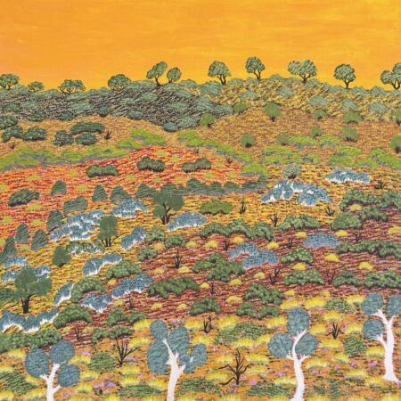 Yvonne Ngwarraye Bonney - My Hunting Country - Painting - Yvonne Ngwarraye  Bonney