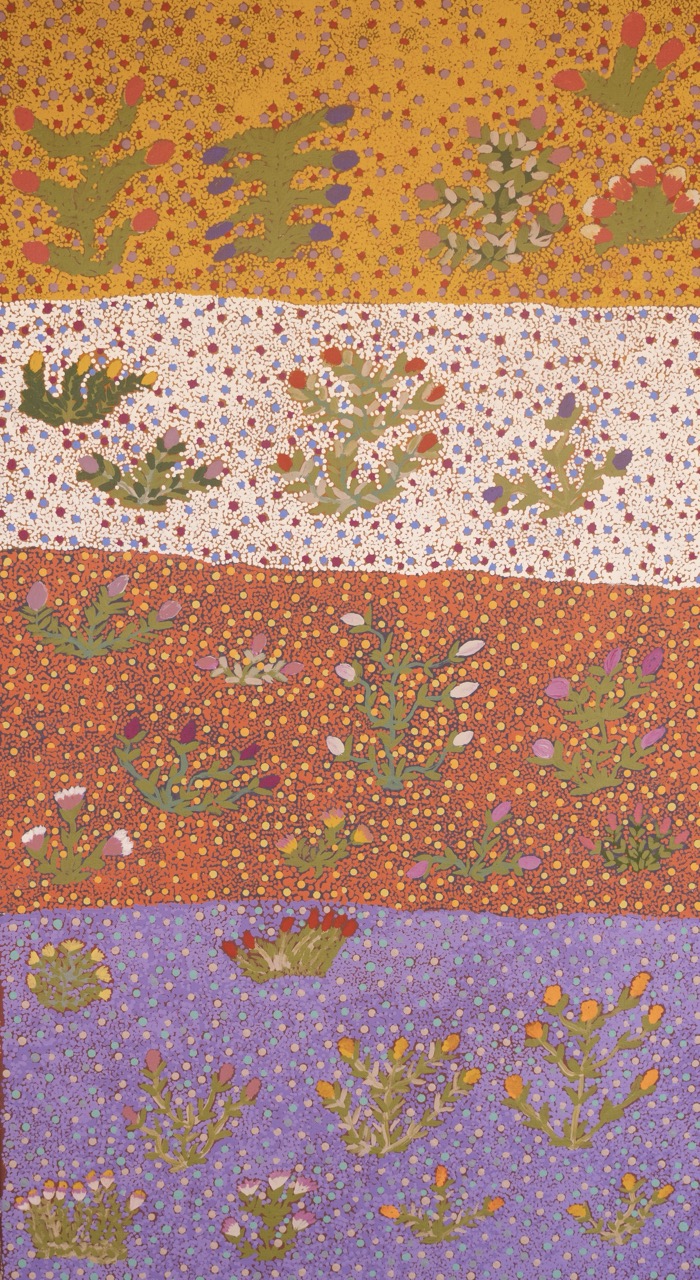 Jessie Pula Luck - My Bush Medicine Plants - Painting - Jessie Pula Luck