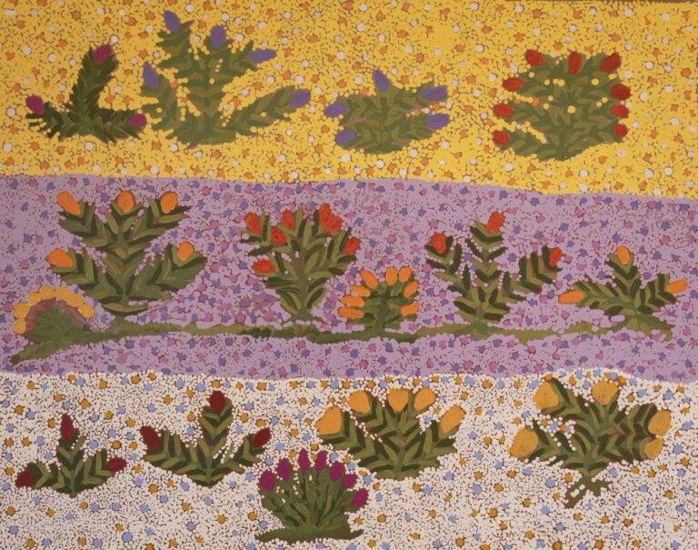 Jessie Pula Luck - My Bush Medicine Plants - Painting - Jessie Pula Luck