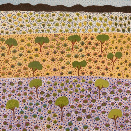 View Of Country - Painting - Chloe Ngwarraye Morton