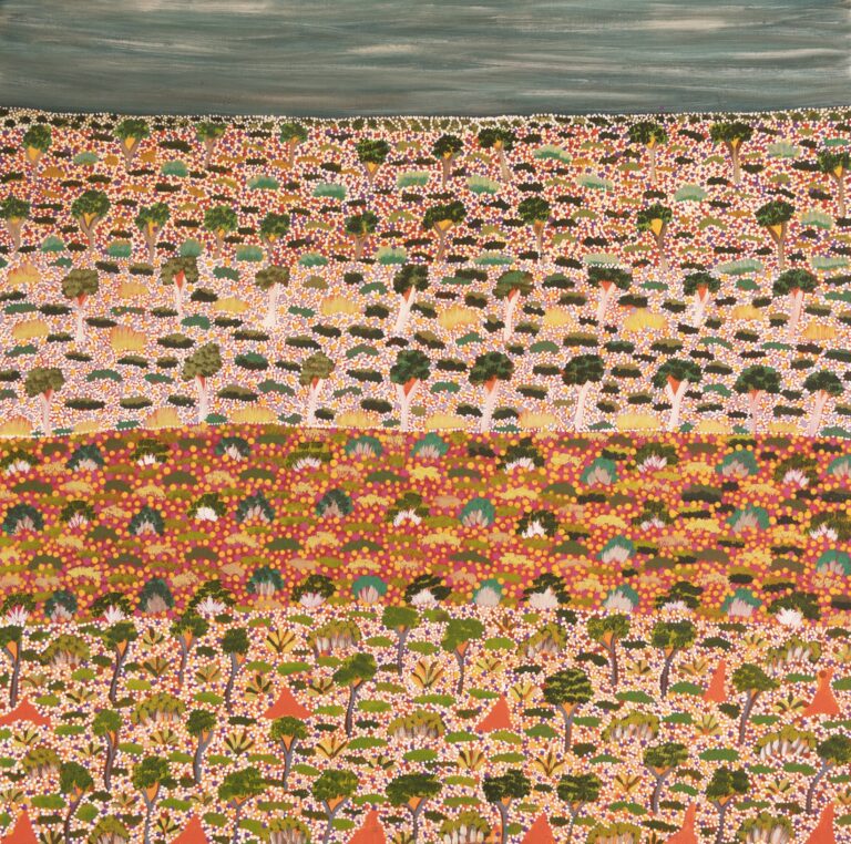 Denise Ngwarraye Bonney - Tijamburra, My Grandmothers Country - Painting - Denise Ngwarraye Bonney