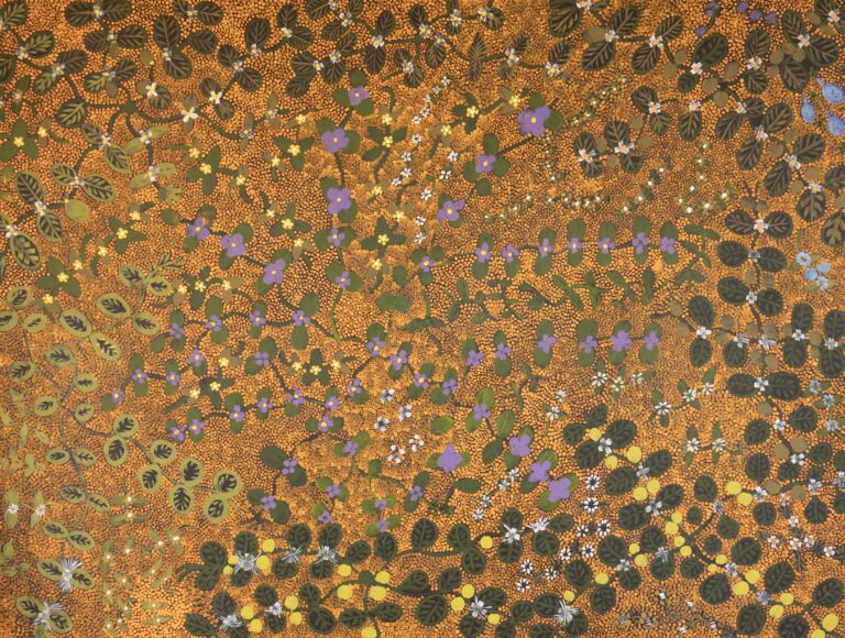 Colleen Ngwarraye Morton - Women's Ceremony and Bush Medicine - Painting - Colleen Ngwarraye Morton