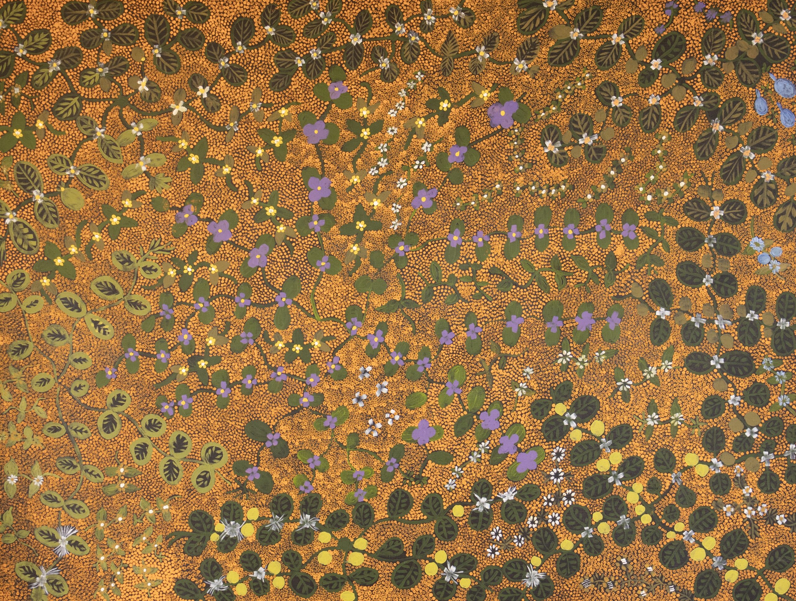 Colleen Ngwarraye Morton - Women's Ceremony and Bush Medicine - Painting - Colleen Ngwarraye Morton