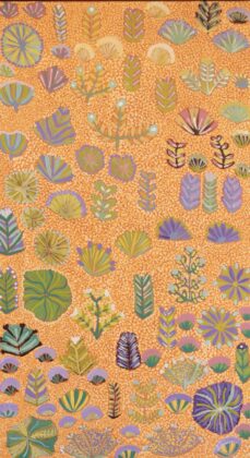 Bush Flowers - Painting - Shardia Kemarre Holmes