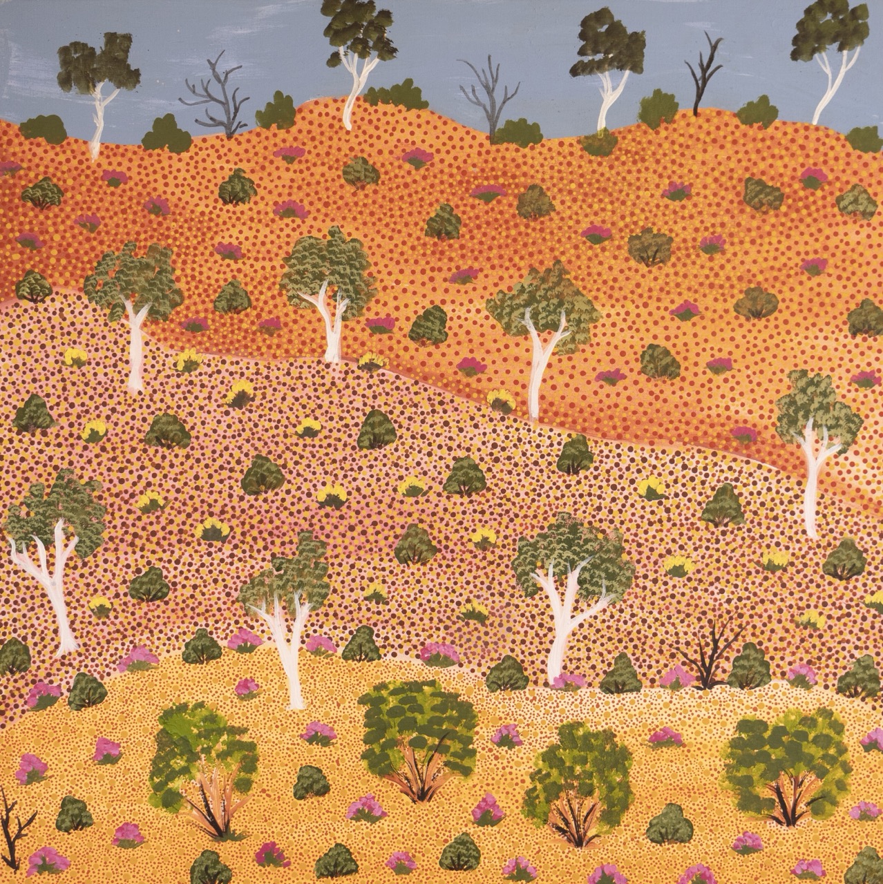 Alec Pula Lewis - View of Country - Painting - Alec  Pula Lewis