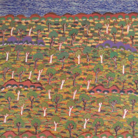 Denise Ngwarraye Bonney - Tijamburra, My Grandmothers Country - Painting - Denise Ngwarraye Bonney