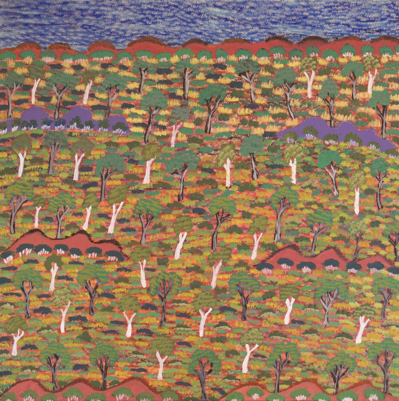 Denise Ngwarraye Bonney - Tijamburra, My Grandmothers Country - Painting - Denise Ngwarraye Bonney