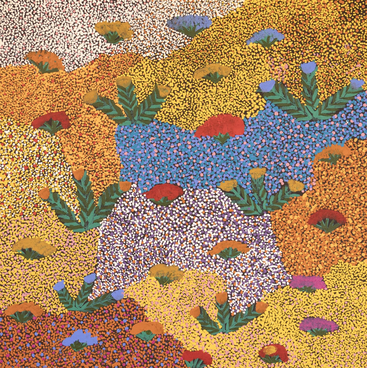 Sandra Pula Teece - Bush Medicine Plants - Painting - Sandra Pula Teece