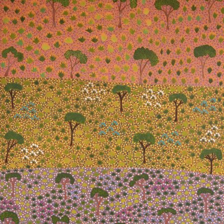 Diane Kemarre Ross - My Country - Painting - Diane Kemarre Ross