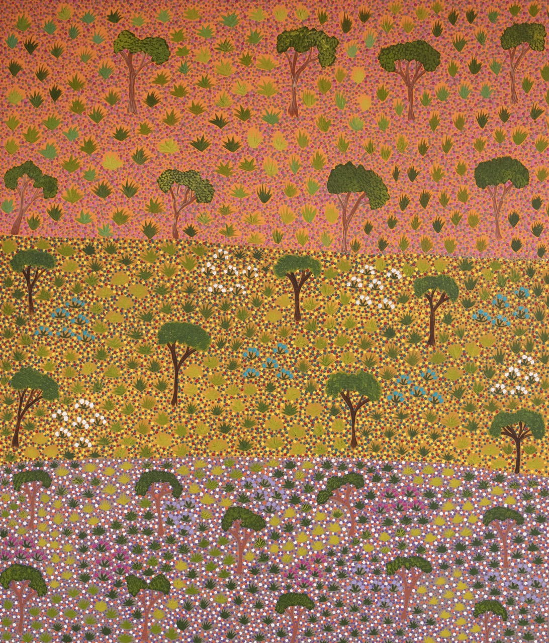 Diane Kemarre Ross - My Country - Painting - Diane Kemarre Ross