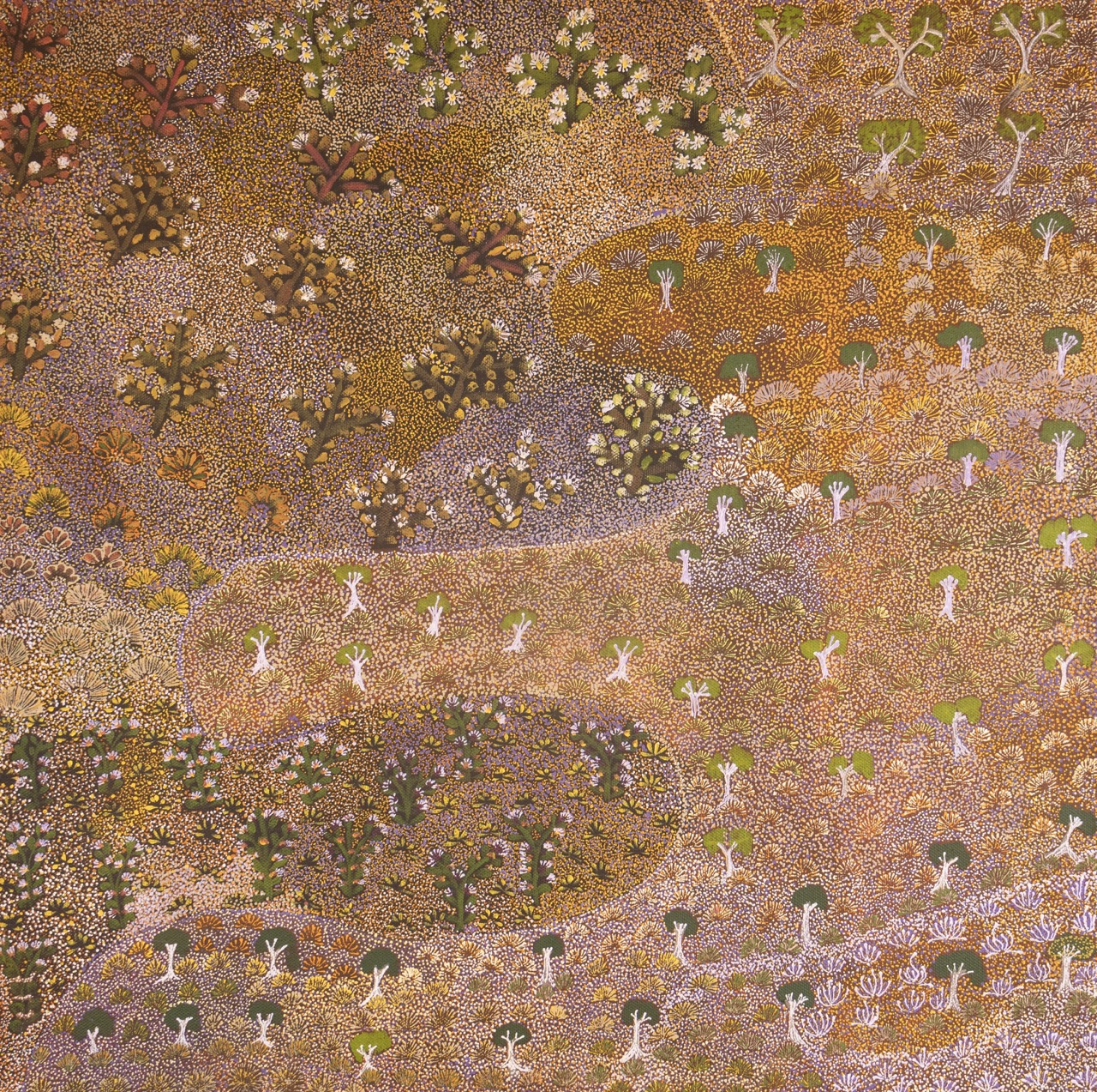 Colleen Ngwarraye Morton - Hunting - Painting - Colleen Ngwarraye Morton