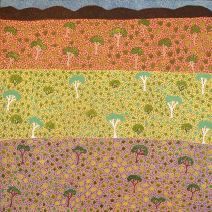 Diane Kemarre Ross - My Country - Painting - Diane Kemarre Ross