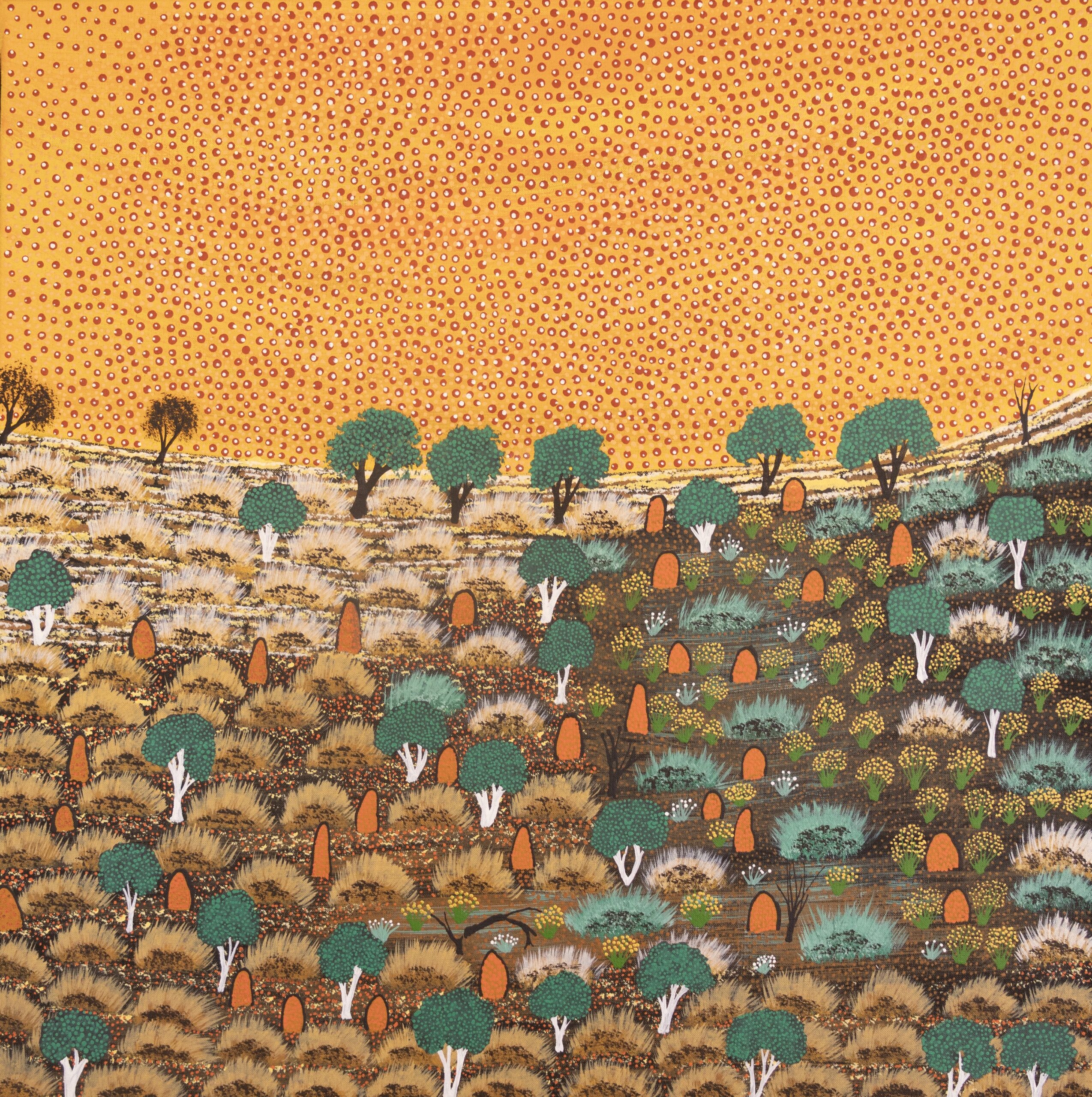 Jacinta Pula Morrison - View of Country - Painting - Jacinta Pula Morrison