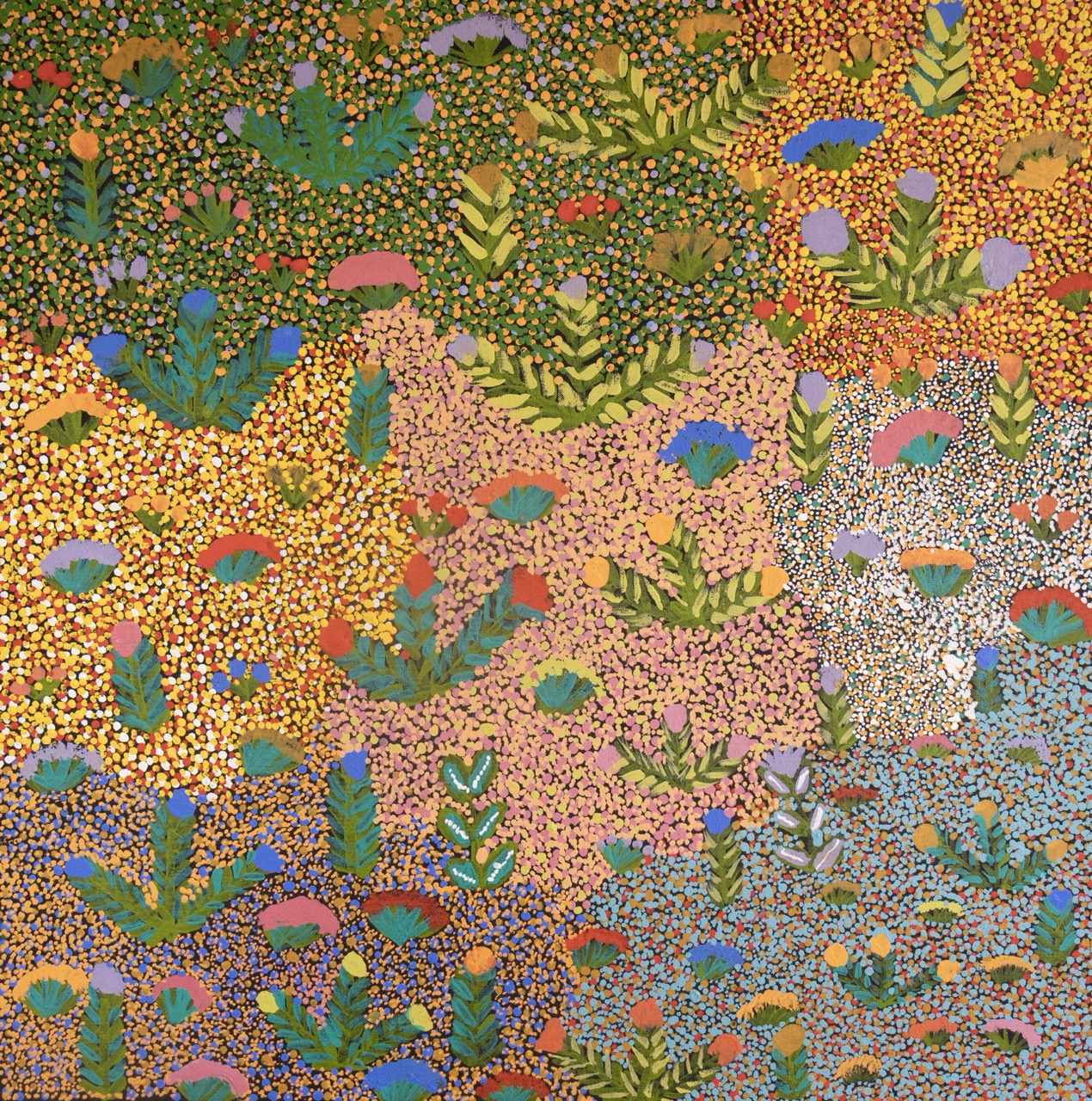 Sandra Pula Teece - Bush Medicine Plants - Painting - Sandra Pula Teece