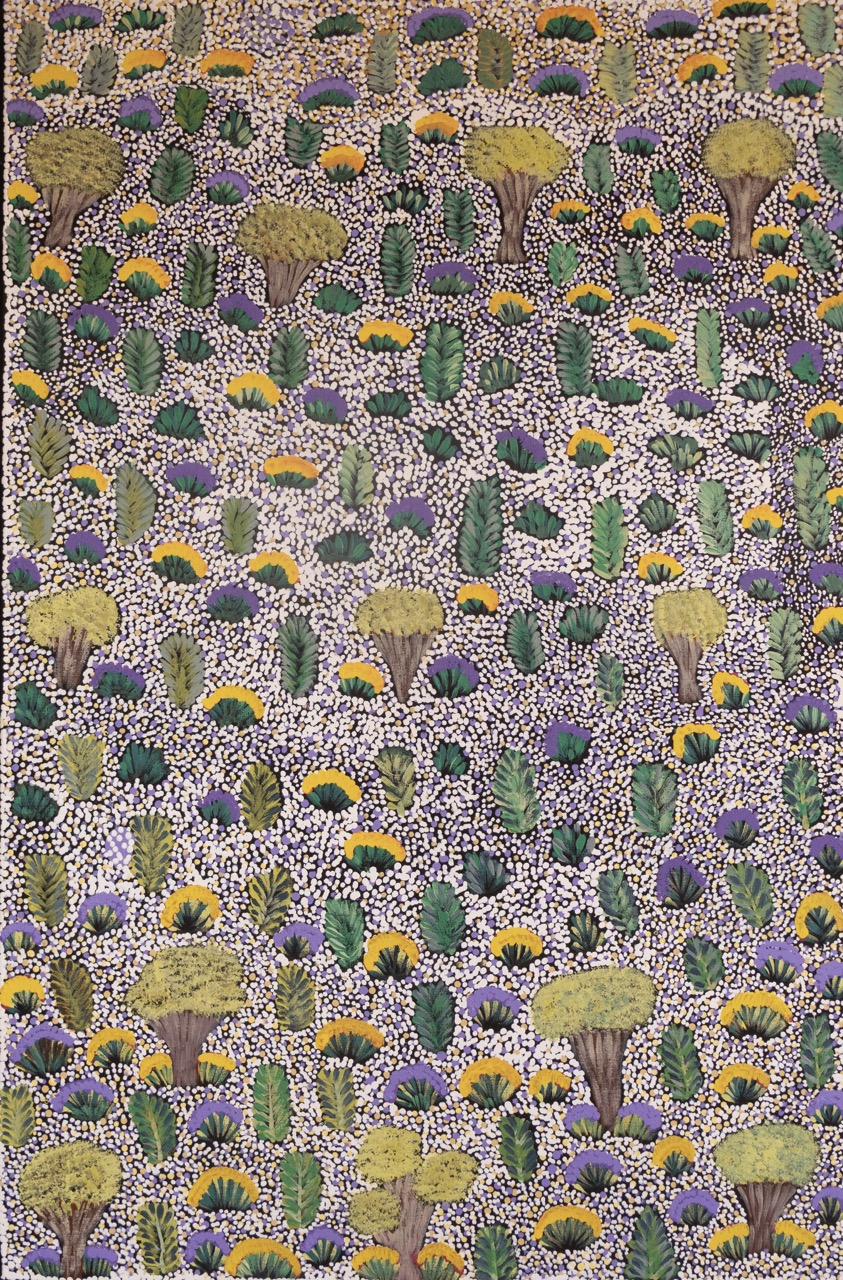 Bush Medicine Plants - Painting - Shardia Kemarre Holmes