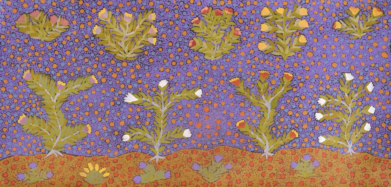 My Country - Jessie Ngwarraye Ross - Painting - Jessie Pula Luck