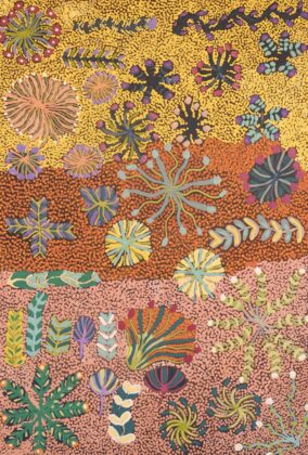 Julieanne Ngwarraye Morton - My Country, My Bush Medicine - Painting - Julieanne Ngwarraye Morton