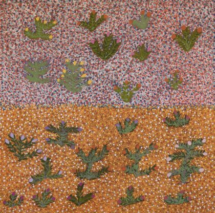 Jessie Pula Luck - My Bush Medicine Plants - Painting - Jessie Pula Luck