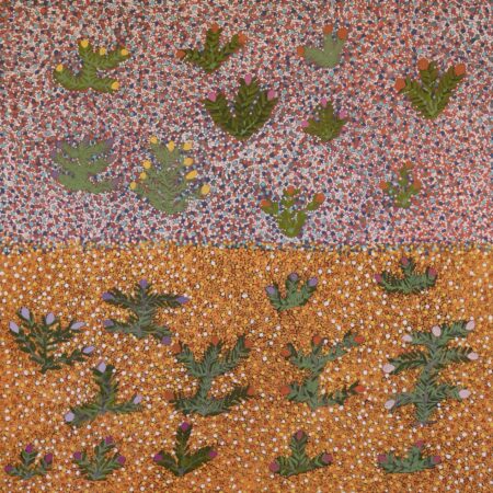 Jessie Pula Luck - My Bush Medicine Plants - Painting - Jessie Pula Luck