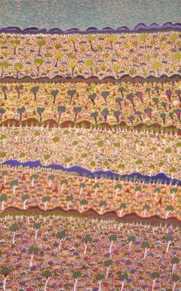 Denise Ngwarraye Bonney - Tijamburra, My Grandmothers Country - Painting - Denise Ngwarraye Bonney