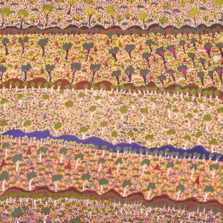 Denise Ngwarraye Bonney - Tijamburra, My Grandmothers Country - Painting - Denise Ngwarraye Bonney