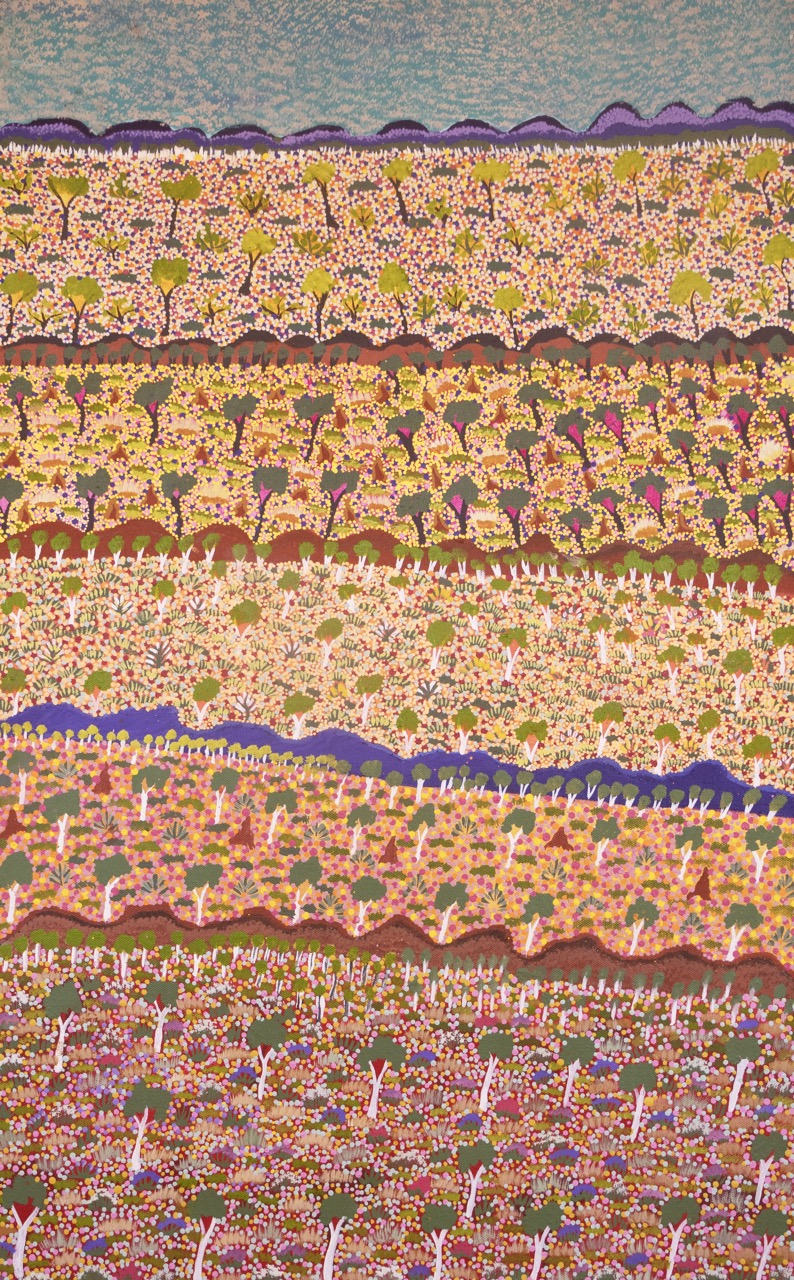 Denise Ngwarraye Bonney - Tijamburra, My Grandmothers Country - Painting - Denise Ngwarraye Bonney