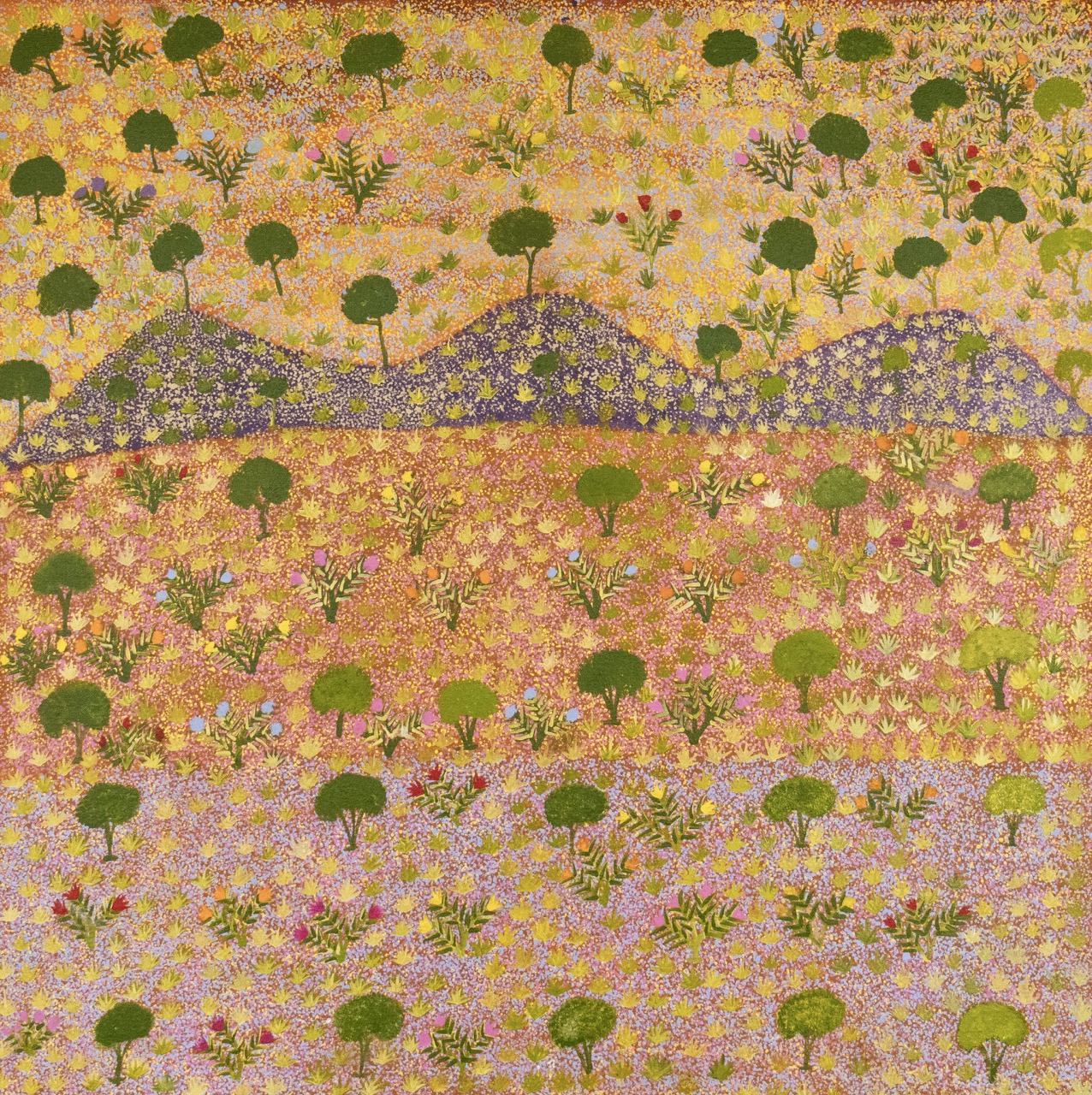 Nancy Pitjara Frank - Artna Areyawarr Kwen Apwert - (Bush Medicine Under Rocks) - Painting - Nancy Pitjara Frank