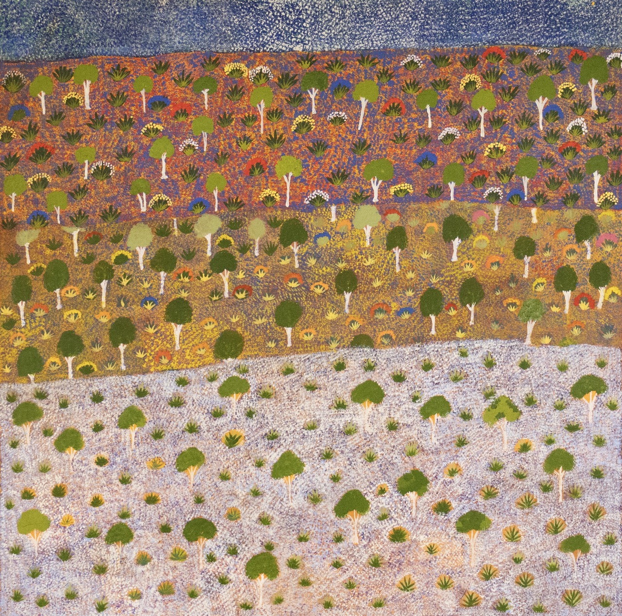 Rita Pitjara Beasley - Apwert Angketyarr (Hill Country) - Painting - Rita Pitjara Beasley