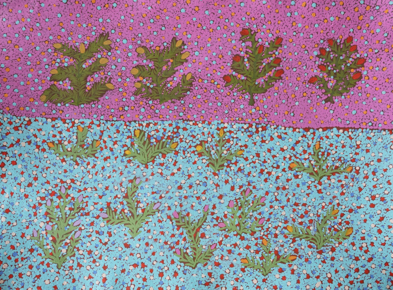 Jessie Pula Luck - My Bush Medicine Plants - Painting - Jessie Pula Luck