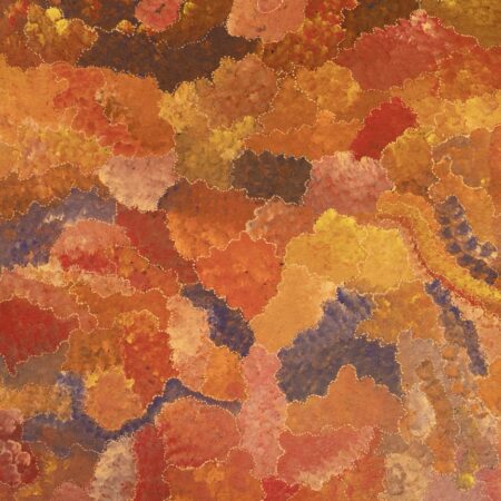 View Of Country - Painting - Melissa Ngwarraye Long